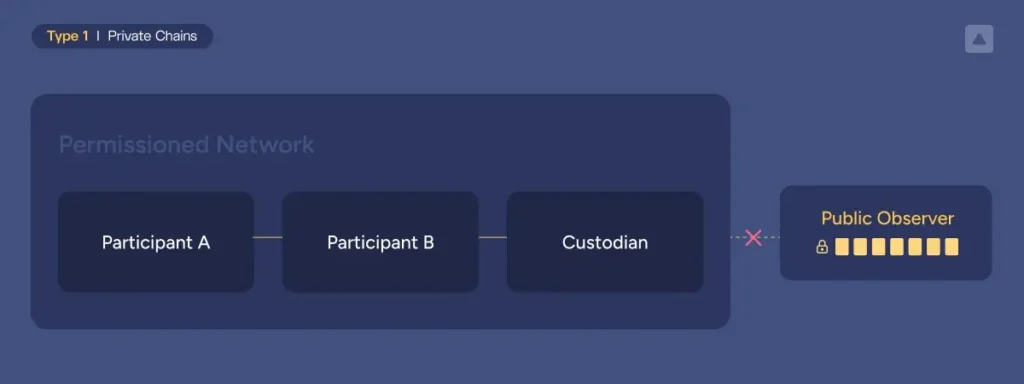 Private chains permission network example from participants to custodians to public observer.
